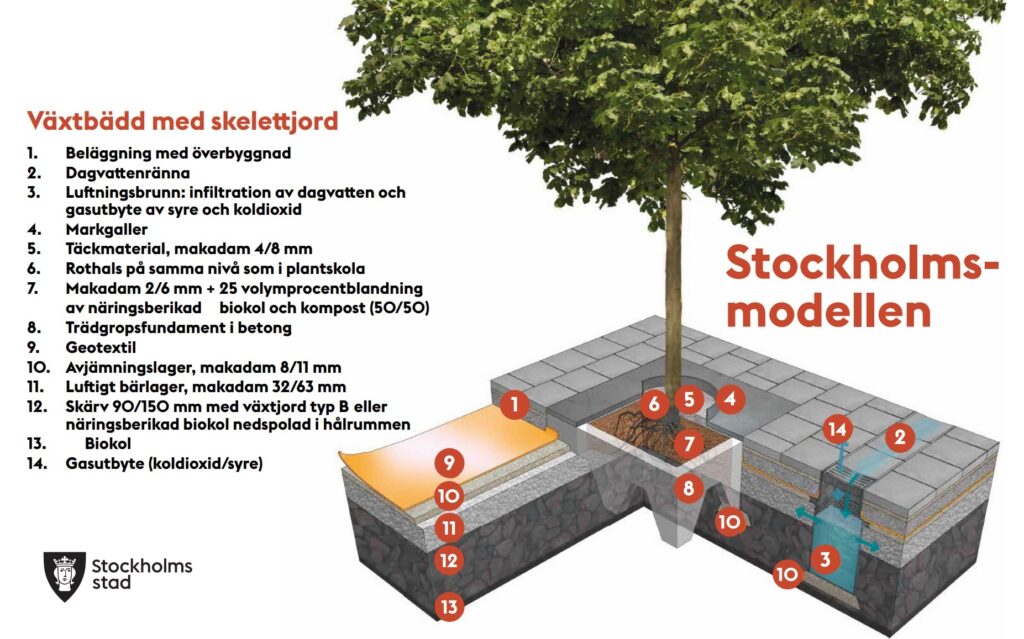 Växtbädd med skelettjord